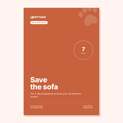 Save the Sofa – Ryvao guide cover