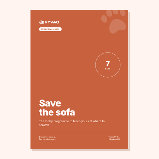 Save the Sofa – Ryvao guide cover