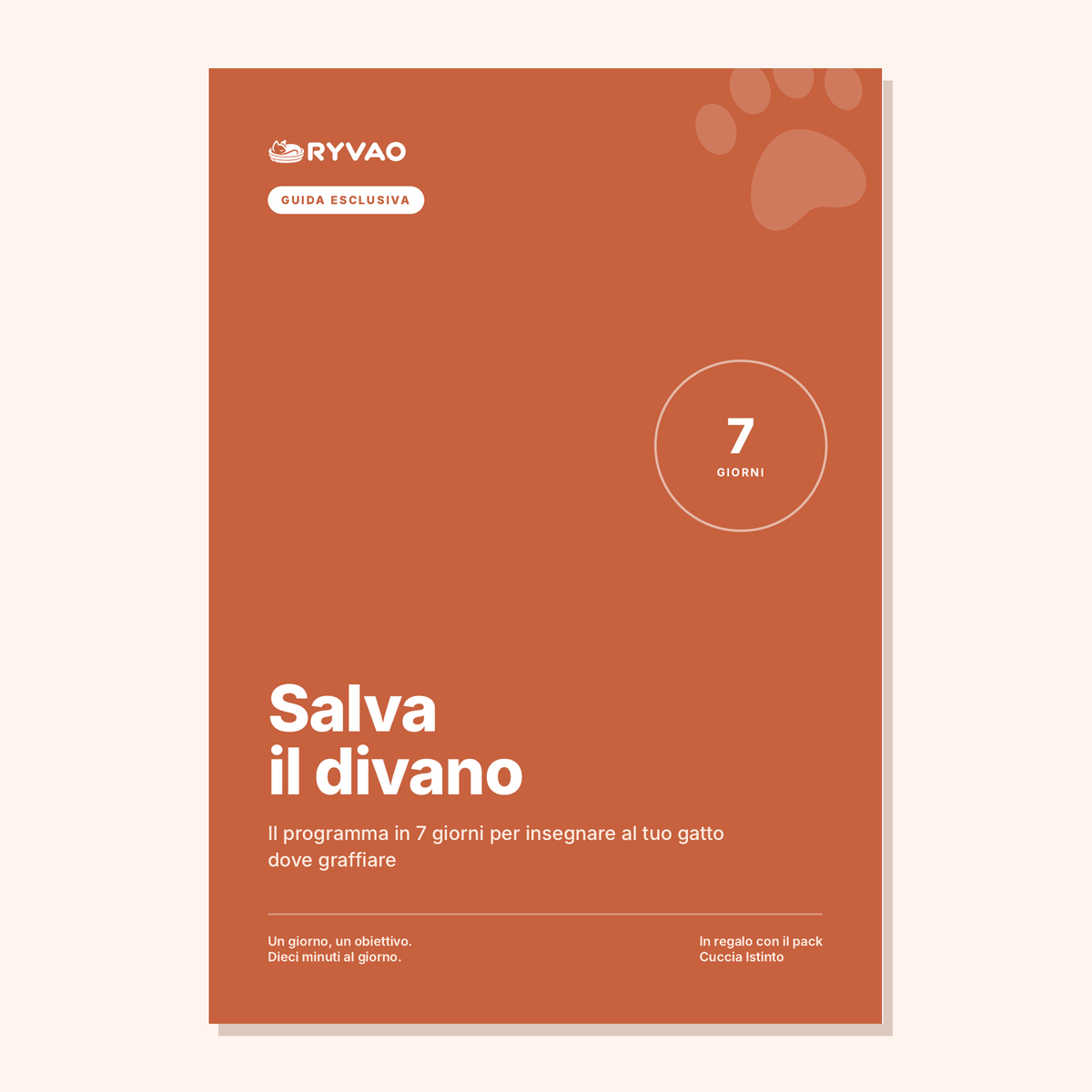 “Save the Sofa” Guide – Ryvao™